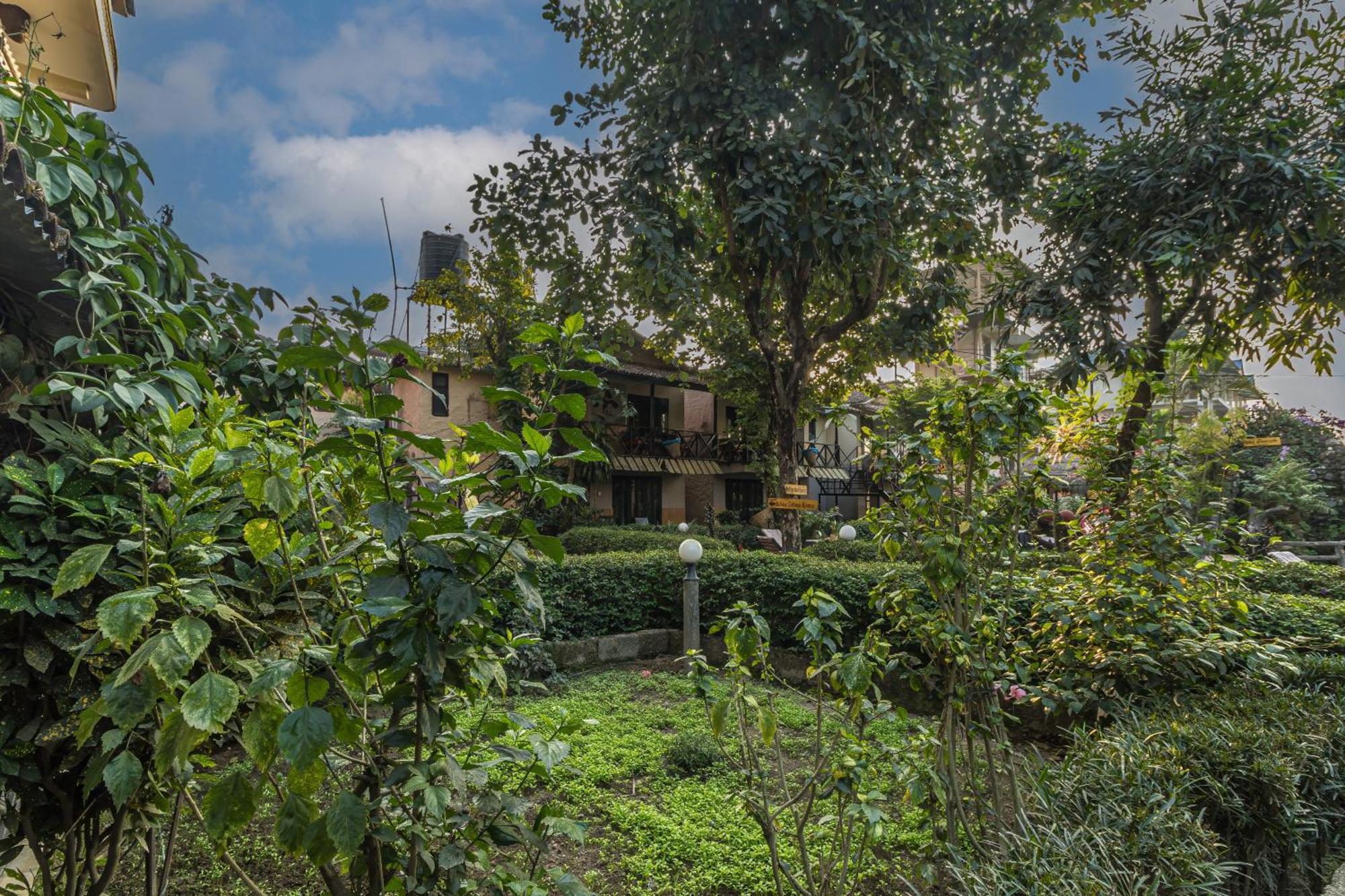 Hotel Riverside With Swimming Pool Sauraha Εξωτερικό φωτογραφία